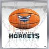 Trends International NBA Charlotte Hornets - Drip Basketball 21 Wall Poster, 14.725" x 22.375", Silver Framed Version view 1