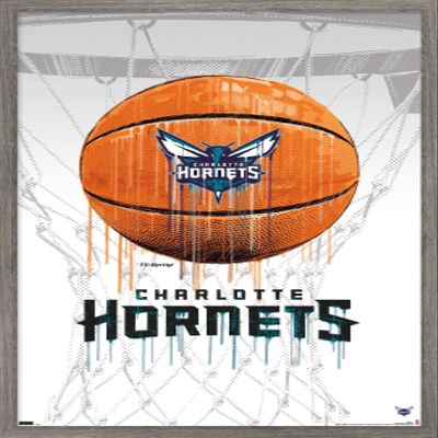 Trends International NBA Charlotte Hornets - Drip Basketball 21 Wall Poster, 14.725" x 22.375", Barnwood Framed Version