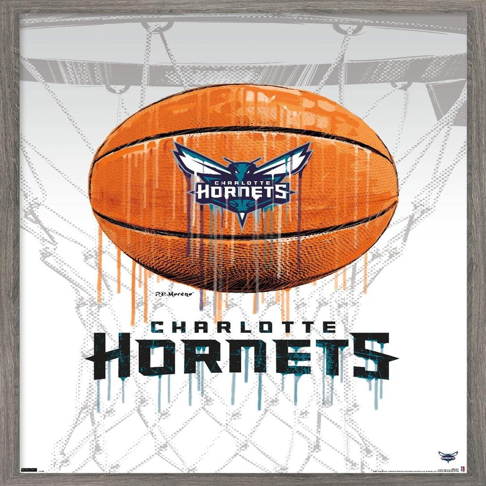 Trends International NBA Charlotte Hornets - Drip Basketball 21 Wall Poster, 14.725" x 22.375", Barnwood Framed Version