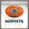 Trends International NBA Charlotte Hornets - Drip Basketball 21 Wall Poster, 14.725" x 22.375", Barnwood Framed Version view 1