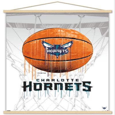 Trends International NBA Charlotte Hornets - Drip Basketball 21 Wall Poster, 22.375" x 34", Premium Print and Beechwood Hanger Bundle