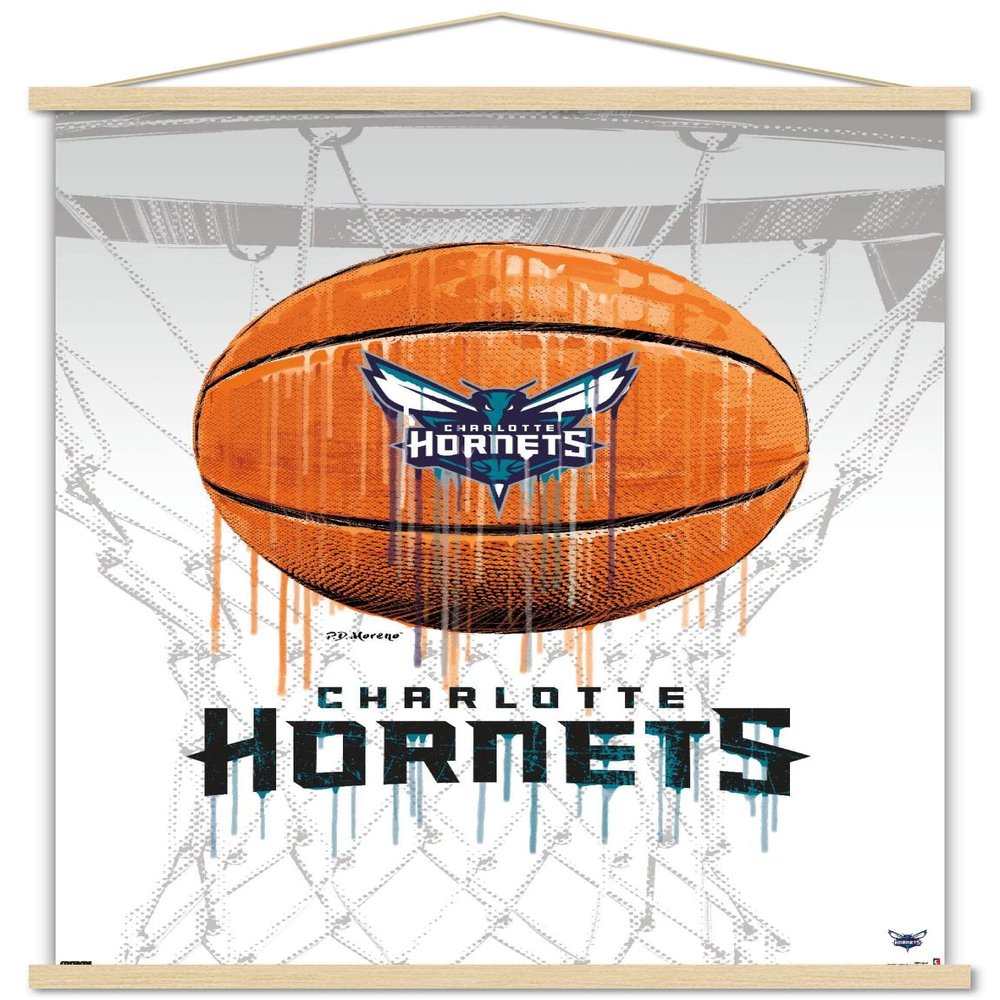 Trends International NBA Charlotte Hornets - Drip Basketball 21 Wall Poster, 22.375" x 34", Premium Print and Beechwood Hanger Bundle
