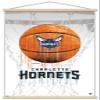 Trends International NBA Charlotte Hornets - Drip Basketball 21 Wall Poster, 22.375" x 34", Premium Print and Beechwood Hanger Bundle view 1