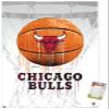 Trends International NBA Chicago Bulls - Drip Basketball 21 Wall Poster, 22.375" x 34", Premium Poster & Mount Bundle view 1