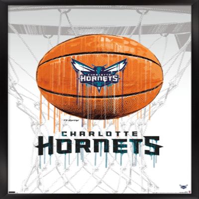 Trends International NBA Charlotte Hornets - Drip Basketball 21 Wall Poster, 14.725" x 22.375", Black Framed Version