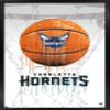 Trends International NBA Charlotte Hornets - Drip Basketball 21 Wall Poster, 14.725" x 22.375", Black Framed Version view 1
