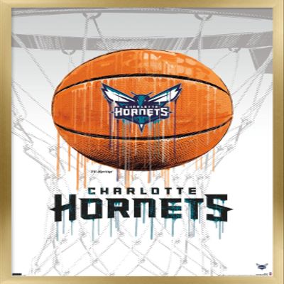 Trends International NBA Charlotte Hornets - Drip Basketball 21 Wall Poster, 14.725" x 22.375", Gold Framed Version
