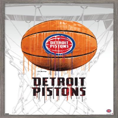 Trends International NBA Detroit Pistons - Drip Basketball 21 Wall Poster, 22.375" x 34", Barnwood Framed Version