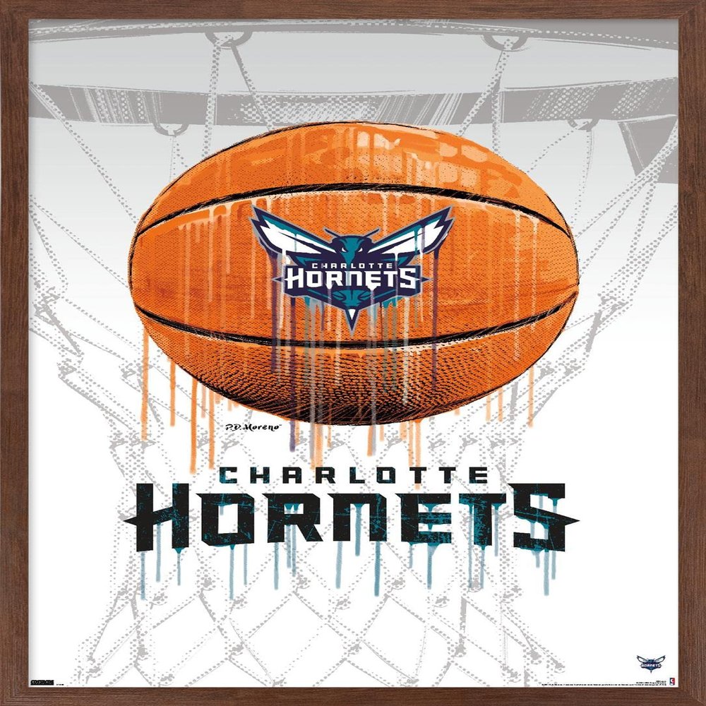 Trends International NBA Charlotte Hornets - Drip Basketball 21 Wall Poster, 14.725" x 22.375", Mahogany Framed Version