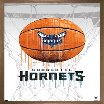 Trends International NBA Charlotte Hornets - Drip Basketball 21 Wall Poster, 22.375" x 34", Bronze Framed Version