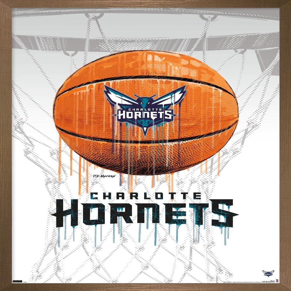 Trends International NBA Charlotte Hornets - Drip Basketball 21 Wall Poster, 22.375" x 34", Bronze Framed Version