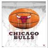 Trends International NBA Chicago Bulls - Drip Basketball 21 Wall Poster, 22.375" x 34", White Framed Version view 1