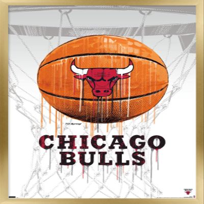 Trends International NBA Chicago Bulls - Drip Basketball 21 Wall Poster, 22.375" x 34", Gold Framed Version