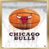 Trends International NBA Chicago Bulls - Drip Basketball 21 Wall Poster, 22.375" x 34", Gold Framed Version view 1