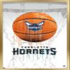 Trends International NBA Charlotte Hornets - Drip Basketball 21 Wall Poster, 22.375" x 34", Gold Framed Version view 1
