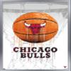 Trends International NBA Chicago Bulls - Drip Basketball 21 Wall Poster, 22.375" x 34", Silver Framed Version view 1