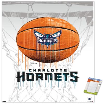 Trends International NBA Charlotte Hornets - Drip Basketball 21 Wall Poster, 22.375" x 34", Premium Poster & Mount Bundle