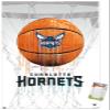 Trends International NBA Charlotte Hornets - Drip Basketball 21 Wall Poster, 22.375" x 34", Premium Poster & Mount Bundle view 1