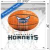 Trends International NBA Charlotte Hornets - Drip Basketball 21 Wall Poster, 22.375" x 34", Premium Poster & Mount Bundle view 3