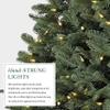 Balsam Hill BH Balsam Fir Full Tree - Realistic Artificial Christmas Tree with Premium Stand & Easy Assembly for Indoor Holiday Decorating, LED Clear, 7.5ft view 4