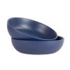 10 Strawberry Street Wazee Matte 9"/48oz Serving Bowl, Set of 2, Midnight Blue view 1