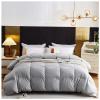 BDMFJY Super Soft King Down Comforter Duvet, Queen Comforter with 95% White Goose Down Filled with Core 100% Cotton Quilted Duvet for All-Season, Luxurious Hotel Collection,Gray,220x240cm(4.5kg) view 1