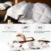 BDMFJY Super Soft King Down Comforter Duvet, Queen Comforter with 95% White Goose Down Filled with Core 100% Cotton Quilted Duvet for All-Season, Luxurious Hotel Collection,Gray,220x240cm(4.5kg) view 3