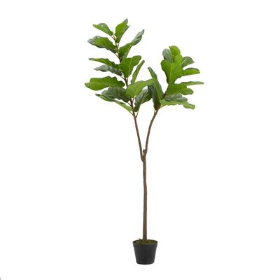 A&B Home 4.5' Fiddle-Leaf Fig Tree in Pot 2Ea/Ctn