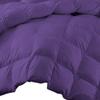 100% Egyptian Cotton Goose Down Fluffy All Season Warmth, 5 PC Comforter Set Oversized Queen-Purple Lightweight Breathable Down Comforter Duvet Insert With 4 Pillow Cases 500 GSM Fill Power view 2