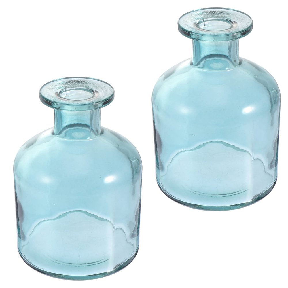 2Pcs Aromatherapy Bottle Glass Flower vase Glass vase Office Decor Study Room mini Plant pots Floral Decor for centerpieces Small Flower Arrangement Holders