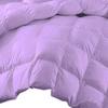100% Egyptian Cotton Goose Down Fluffy All Season Warmth, 5 PC Comforter Set Olympic Queen-Lavender Lightweight Breathable Down Comforter Duvet Insert With 4 Pillow Cases 500 GSM Fill Power view 2