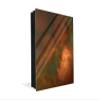 Concept Crystal 50 Keys Cabinet with Decorative Front Panel and Glass White Board KN04 Rusted Textures Series view 1