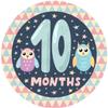 CAKECERY Baby 10 Months Edible Cake Topper Image Birthday Sheet Party Decoration Round view 1