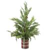 24" Iced Cedar Artificial Christmas Tree in Plaid Pot - Unlit view 1
