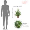 24" Iced Cedar Artificial Christmas Tree in Plaid Pot - Unlit view 3