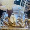 96" Decorative Wooden Bead Garland Natural - Threshold Designed with Studio McGee view 4