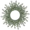 20" Green Glittered Artificial Coral Christmas Wreath view 1