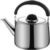 Induction Kettle Whistling Tea Kettle Tea Kettle Stainless Steel Whistling Stove Top Surgical Polished Teapot with Heat-Resistant Handle for Stove Top (Size : 3L) view 1