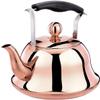 2 Quart Stainless Steel Tea Kettle for Stove Top,Whistling Tea Kettle with Heat-Resistant Ergonomic Handle (Color : Brass, Size : 2L) view 1
