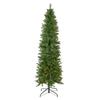 6.5' Pre-Lit Silver Lake Fir Pencil Artificial Christmas Tree, Multi Lights view 1