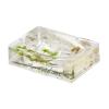 Locco Decor 4 Piece Acrylic Liquid 4D Floating Motion Bathroom Vanity Accessory Set Garden Botanic Green Plants Toothbrush Holder, Tumbler, Soap Dispenser, Soap Dish view 4