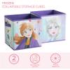 Polycanvas Disney Frozen 2 Collapsible Storage Cubes, Set of 2, 10"x10" view 2