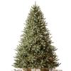 Balsam Hill 4.5ft Pre-Lit Classic Blue Spruce - Artificial Christmas Tree with 300 Clear Incandescent Lights, Easy Plug Technology, Premium Stand for Indoor Holiday Decorating view 1