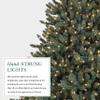 Balsam Hill 4.5ft Pre-Lit Classic Blue Spruce - Artificial Christmas Tree with 300 Clear Incandescent Lights, Easy Plug Technology, Premium Stand for Indoor Holiday Decorating view 4