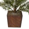 28" Potted Frosted Pine Artificial Christmas Tree  Unlit view 3