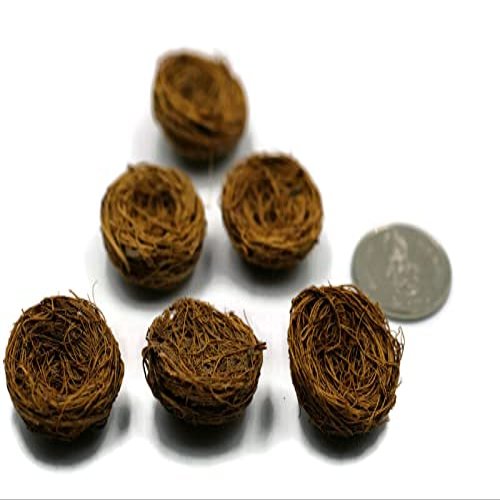 Hobby shop 6pcs Artificial Bird Nest Bird Houses Garden Nature Art Craft Wedding Home Decoration