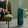 LJXLXY Humidifier 6L Large Capacity Air Humidifier Quiet Humidifier Top Fill Oil Diffuser Timing Humidifier, Smart Control with Humidistat, Auto Shut-Off Air Humidifiers view 4