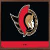 Trends International NHL Ottawa Senators - Logo 21 Wall Poster, 22.375" x 34", Mahogany Framed Version view 1