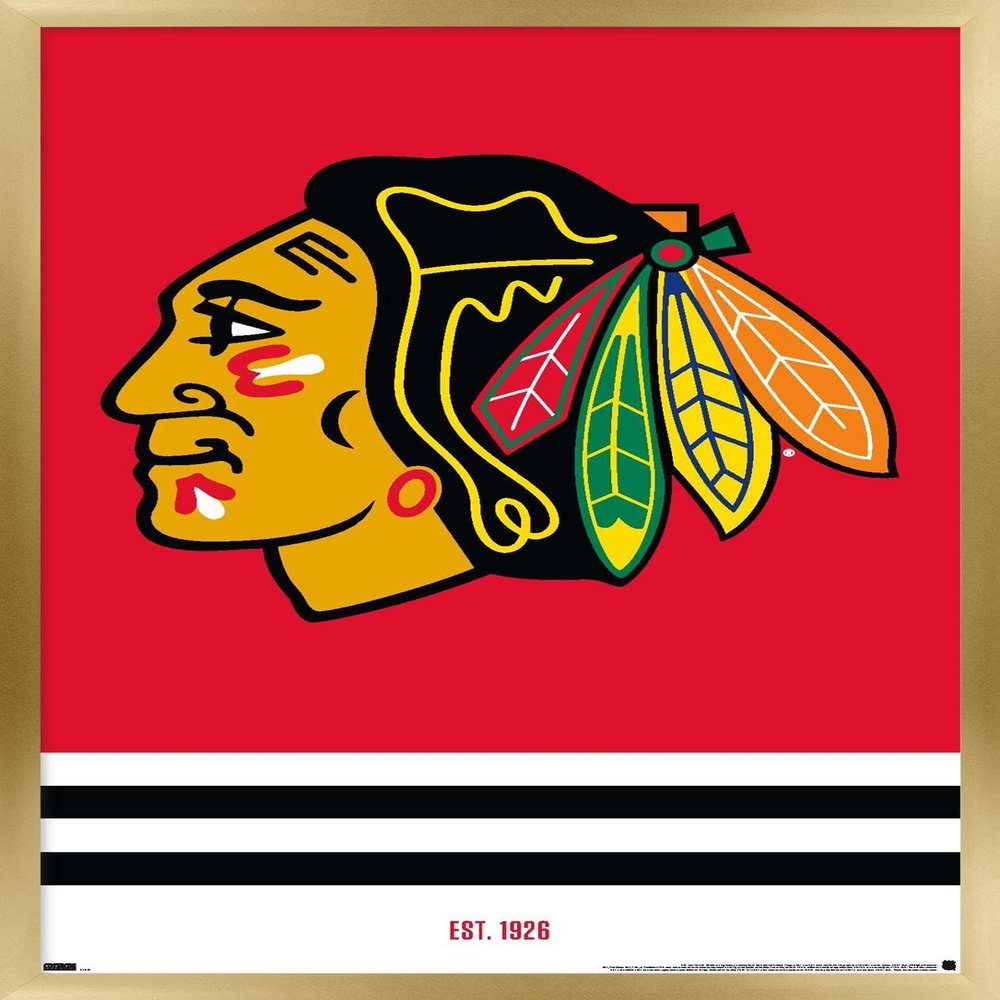 Trends International NHL Chicago Blackhawks - Logo 21 Wall Poster, 22.375" x 34", Gold Framed Version