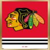 Trends International NHL Chicago Blackhawks - Logo 21 Wall Poster, 22.375" x 34", Gold Framed Version view 1